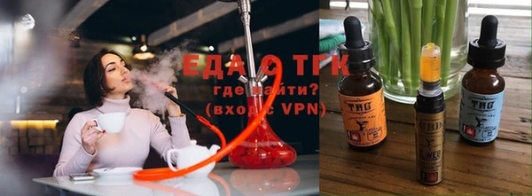 индика Верхний Тагил