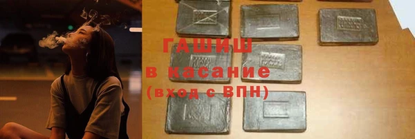 индика Верхний Тагил