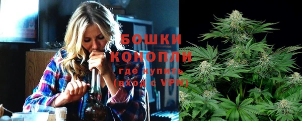 индика Верхний Тагил
