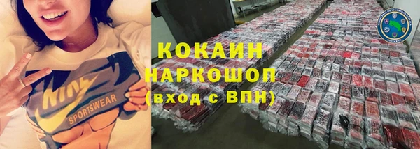 индика Верхний Тагил