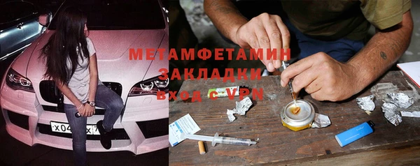 индика Верхний Тагил