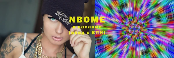 индика Верхний Тагил