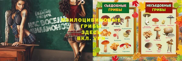 индика Верхний Тагил
