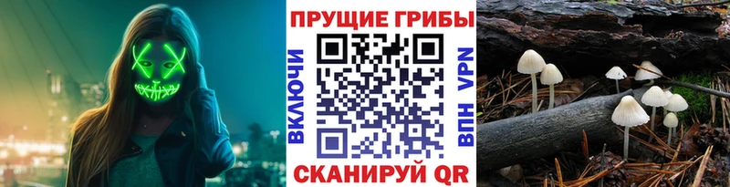 Галлюциногенные грибы мухоморы Самара