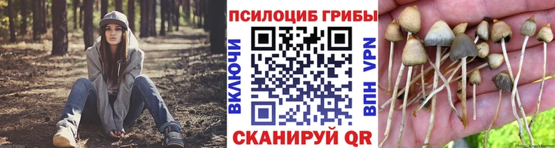 Псилоцибиновые грибы GOLDEN TEACHER  Самара 